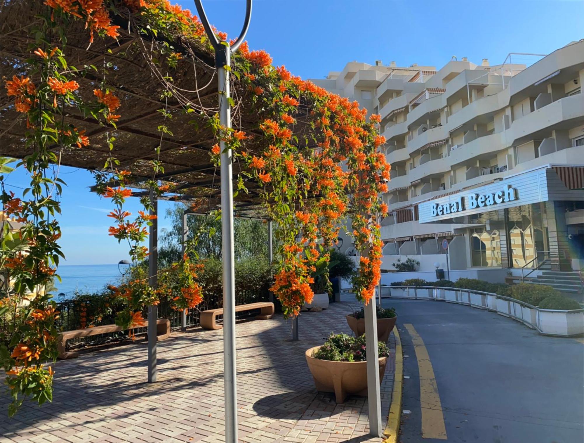 Benal Beach Apartamento Mountain View เบนัลมาเดนา ภายนอก รูปภาพ